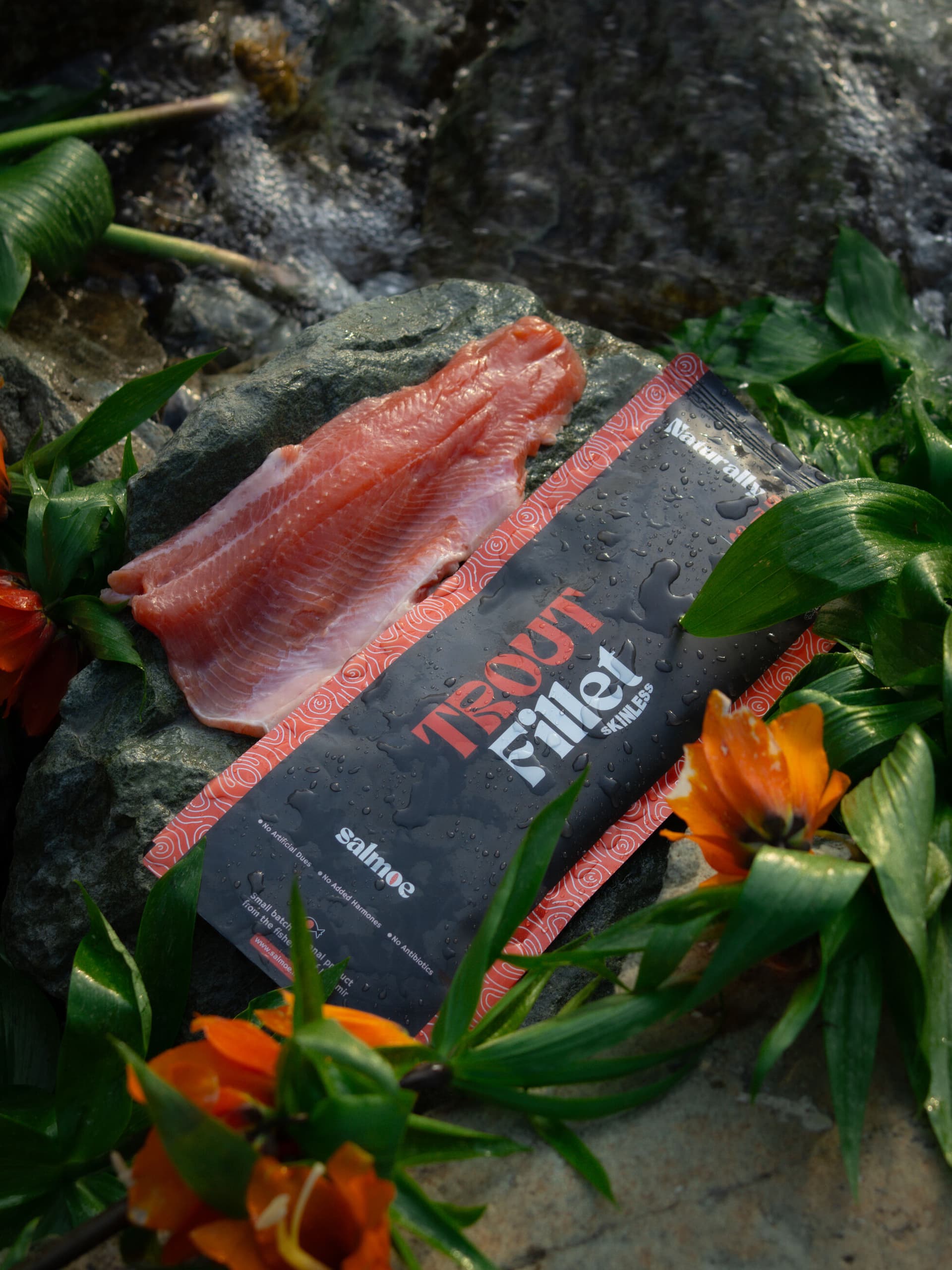 Trout Fillet Skinless
